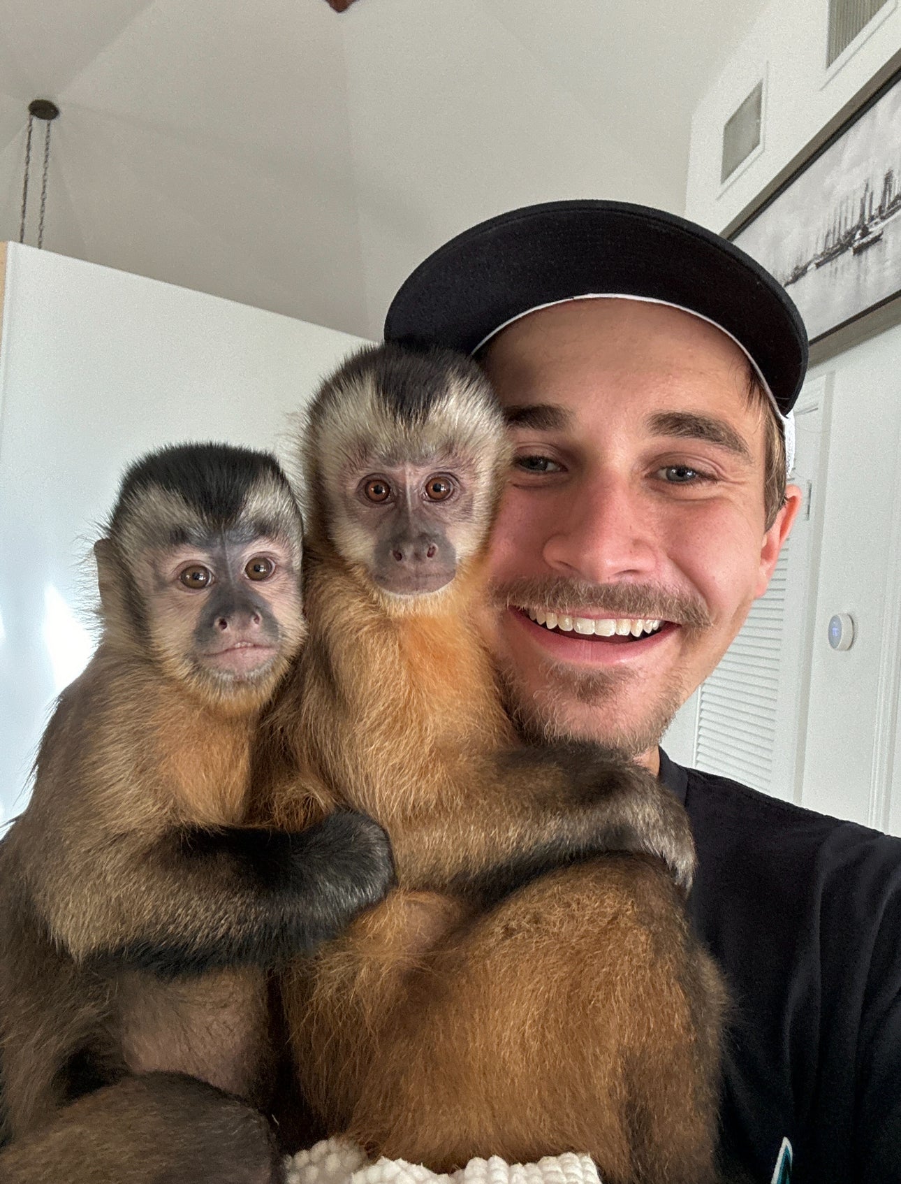 Capuchin Encounter