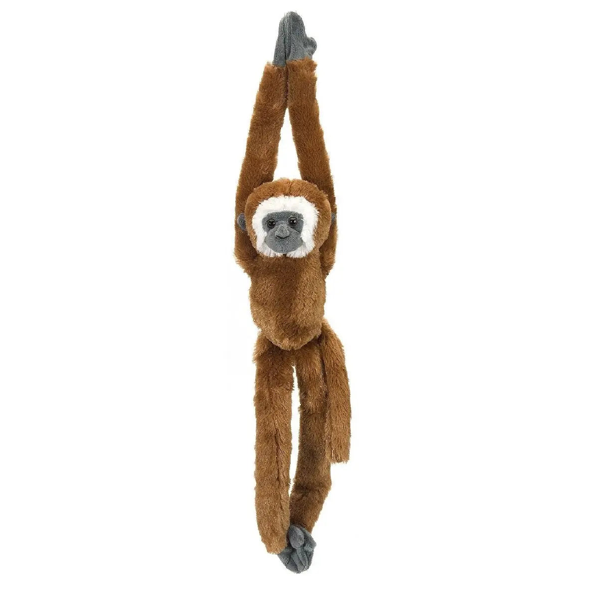 Hanging Capuchin monkey