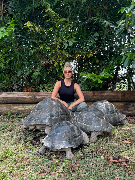 Giant Tortoise Encounter