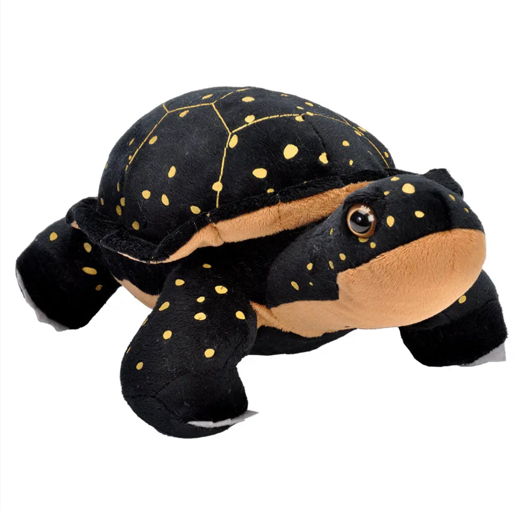 Spotted Turtle Plushie