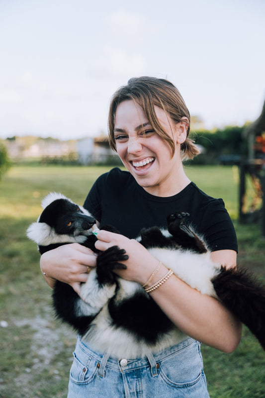 Lemur Encounter